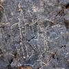 A petroglyph in Marble Canyon