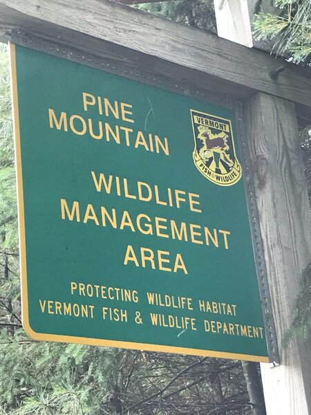 Pine Mountain Wildlife Management Area
