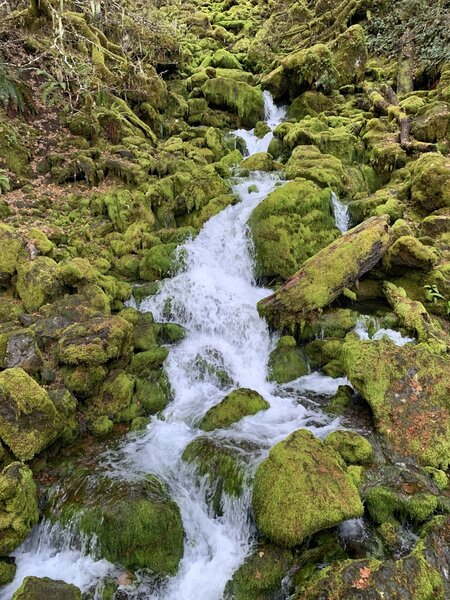 A bridge crosses over this small stream.