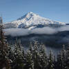 Mount Hood from the ridge just east of East Zigzag Mountain