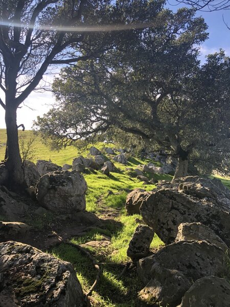 A rocky, forested hilltop along the route.