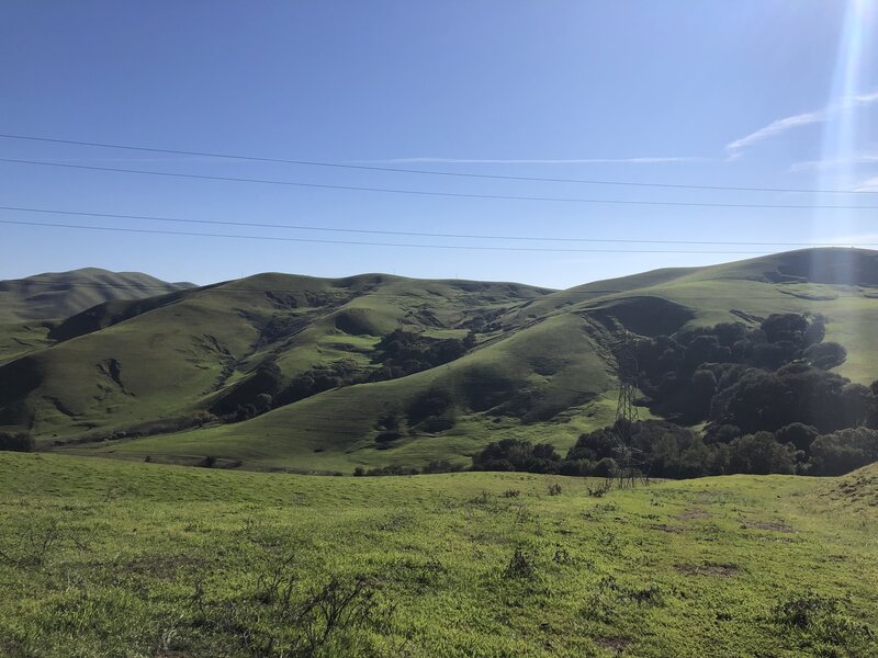 A wide view of green rolling hills with some forested slopes. Power lines are visible.