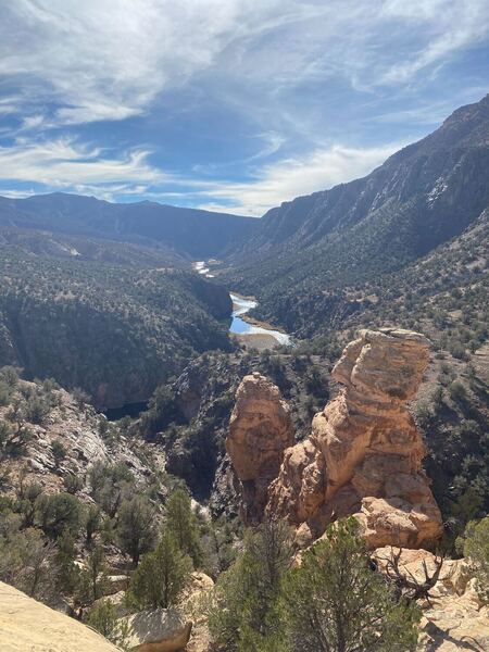 Overlook into the Gunnison Gorge on the Ute Trail.