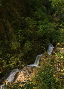 One of several series of cascades along the upper Rispana river.