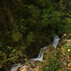 One of several series of cascades along the upper Rispana river.