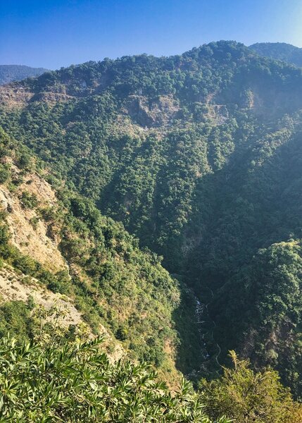 Looking down on the Rispana gorge from the Rajpur-Jharipani/KIpling Trail.