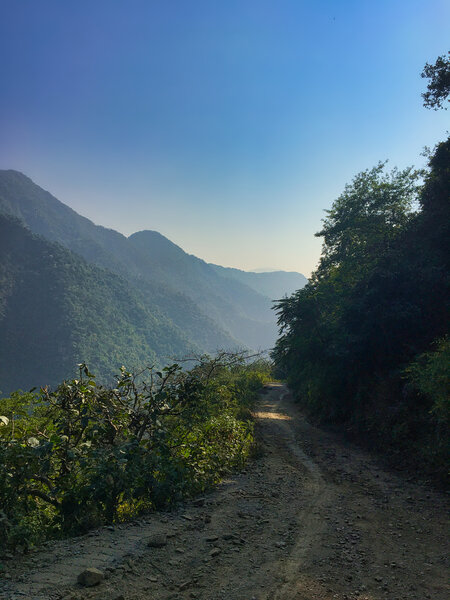 The flat section of the trail, just before the switchback where it climbs and crosses onto the western aspect of the ridge.