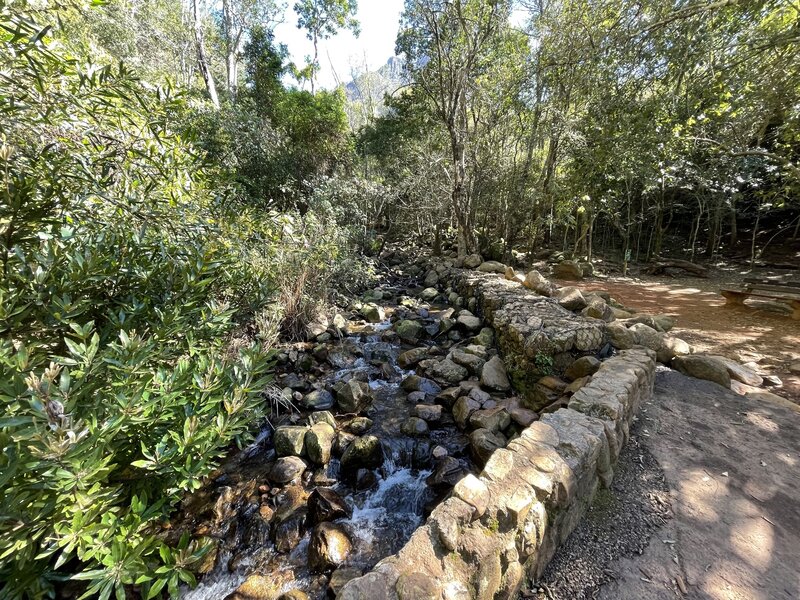 Newlands Stream.