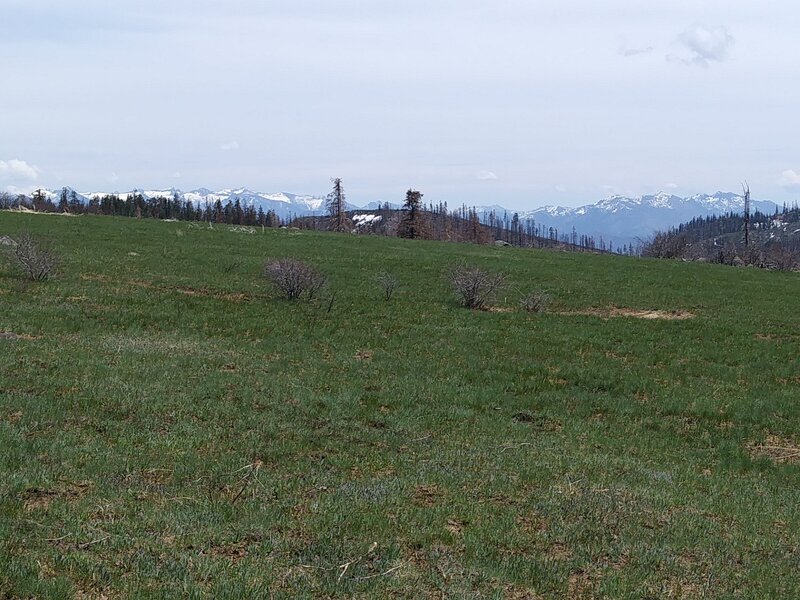 Red Cap Prairie and the high Trinity Alps (May 2021).