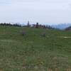 Red Cap Prairie and the high Trinity Alps (May 2021).