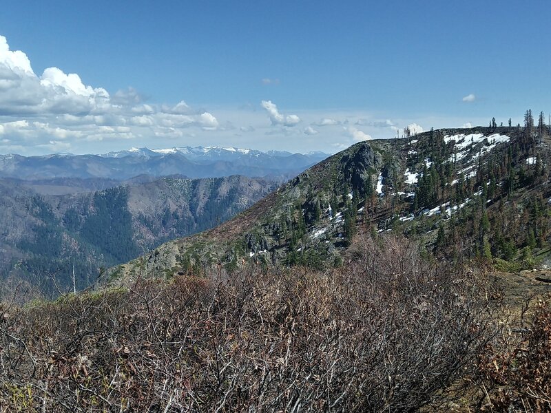 High Trinity Alps from the south end of Red Cap Prairie (May 2021).
