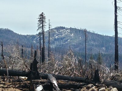 Distant view of cliffs above Mill Creek Lakes, from near Red Cap Prairie (May 2021).