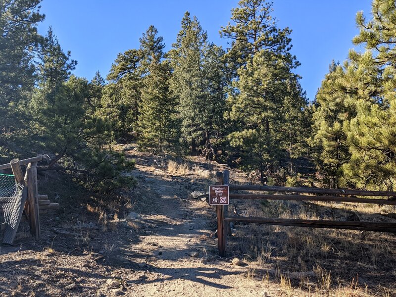 The trail sign at the junction with Mountain Muhly Trail.