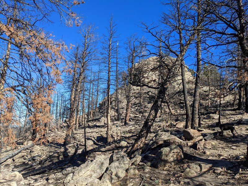 Elephant Butte Fire (July 2020) and the summit (8,405 ft).