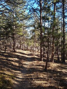 On the way down the trail.