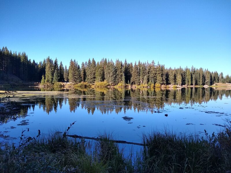 Camping at Alta Lakes.