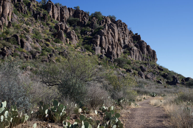 The Hospital Canyon Trail runs along the base of the hillside, with Prickly Pears and other cacti lining both sides of the trail.