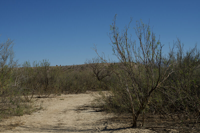 The trail winds through desert scrub brush as it makes its way to various homesteads.