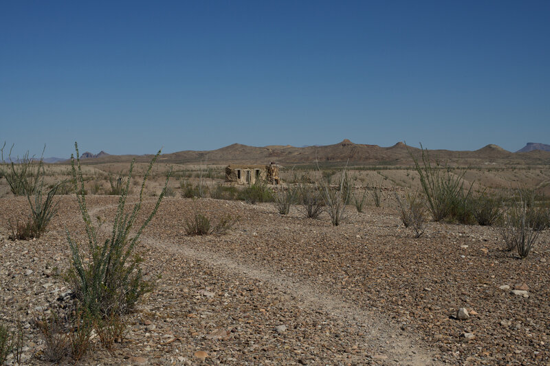 The trail winds through Ocotillo cacti on the way to the Dorgan homestead.
