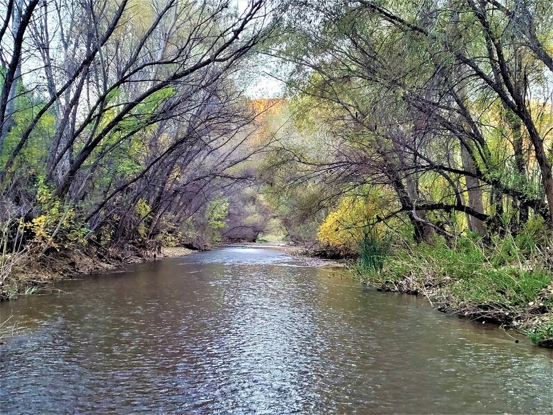 View from the trail.