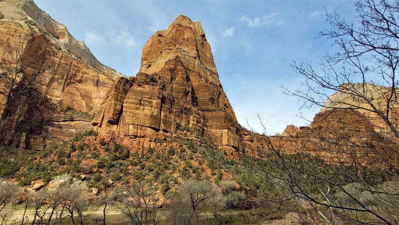 View of Angels Landing from the road.