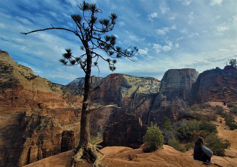 View from the trail.