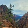 View from the trail.