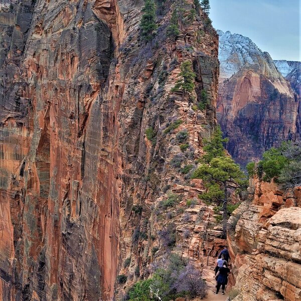 View from the trail.