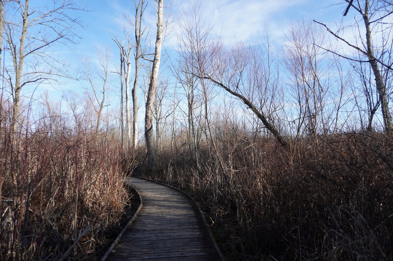 Boardwalk.