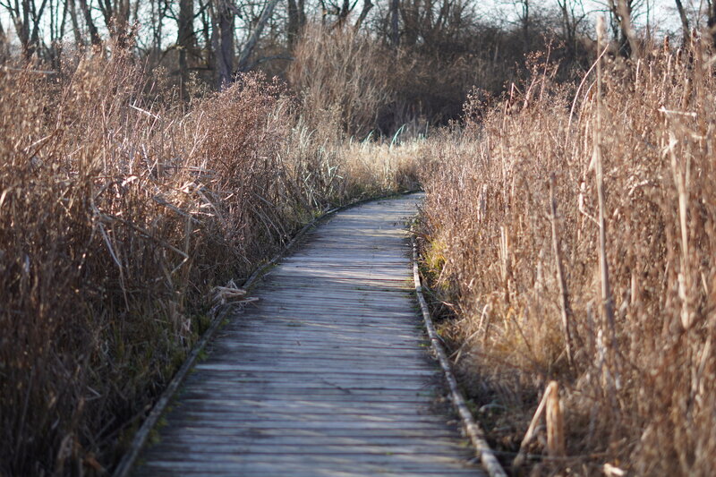 Boardwalk.