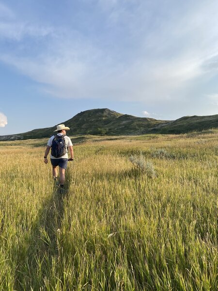 The grassland up to the summit. Watch for snakes.