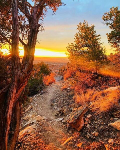 Dakota Ridge Trail.