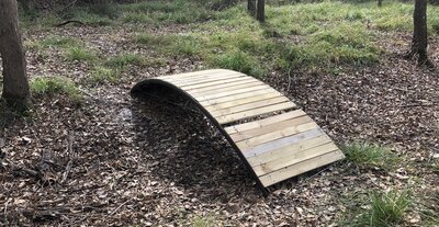 Improvised bridge linking Strahan Trace and Bauer Trail.