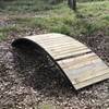 Improvised bridge linking Strahan Trace and Bauer Trail.