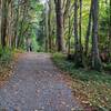 Interurban Trail where it intersects with a parking lot along Chuckanut Drive.