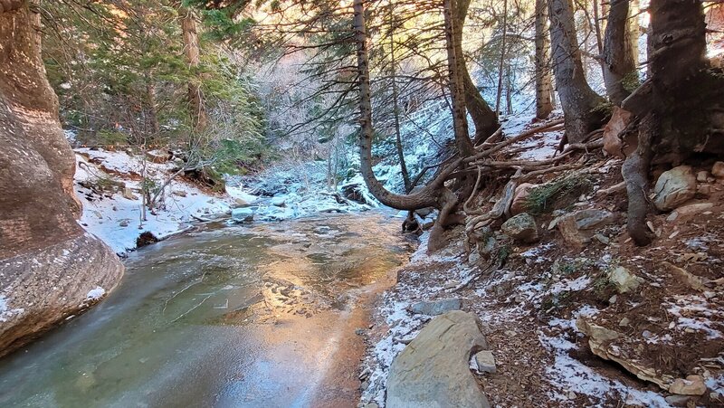 View from the trail.