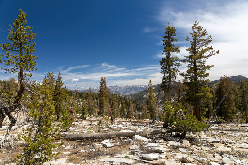 You can see the Monarch Divide far north from Jennie Lake Trail.