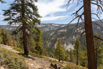 Kings - Kaweah Divide.