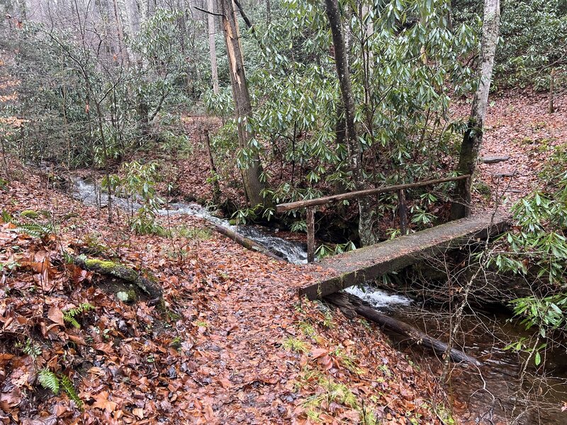 The nature trail crosses the creek over a log bridge and then you start seeing markers providing information around the forest around you.