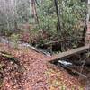 The nature trail crosses the creek over a log bridge and then you start seeing markers providing information around the forest around you.