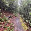 The trail runs along the hillside through the forest. Along the way, there are several log benches like the one on the left side of this photo.