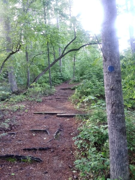 The Blue trail.