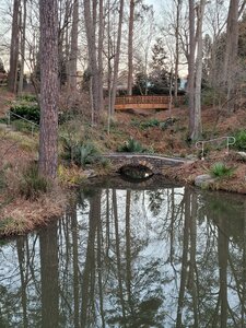 Bridges near pond area