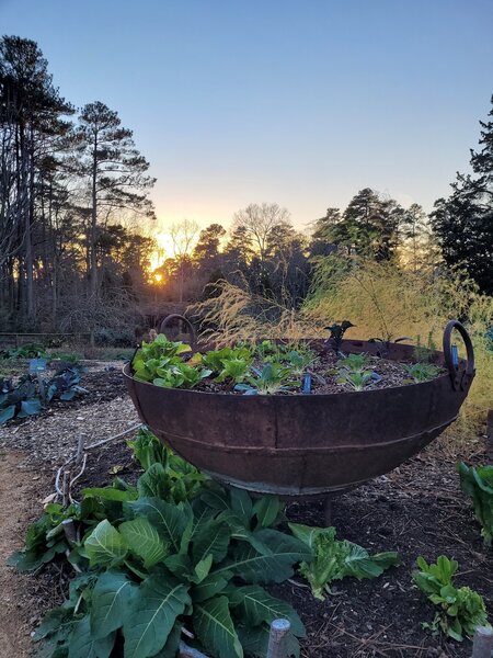 Charlotte Brody Discovery Garden