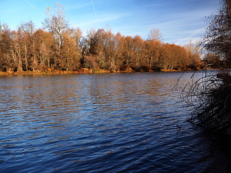 The Rogue River with late Fall colors.