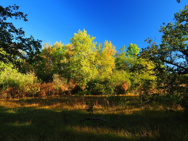 Fall colors at the Denman Wildlife Area