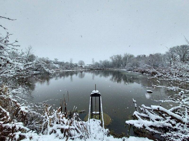 Winter at the pond in Military Slough