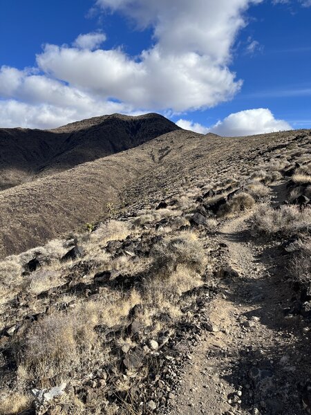 An easier portion of the trail. Most of it is relatively easy grade.