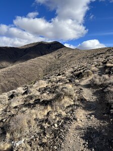 An easier portion of the trail. Most of it is relatively easy grade.