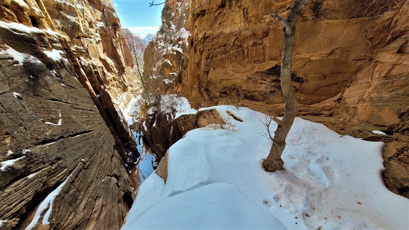 View from the trail.